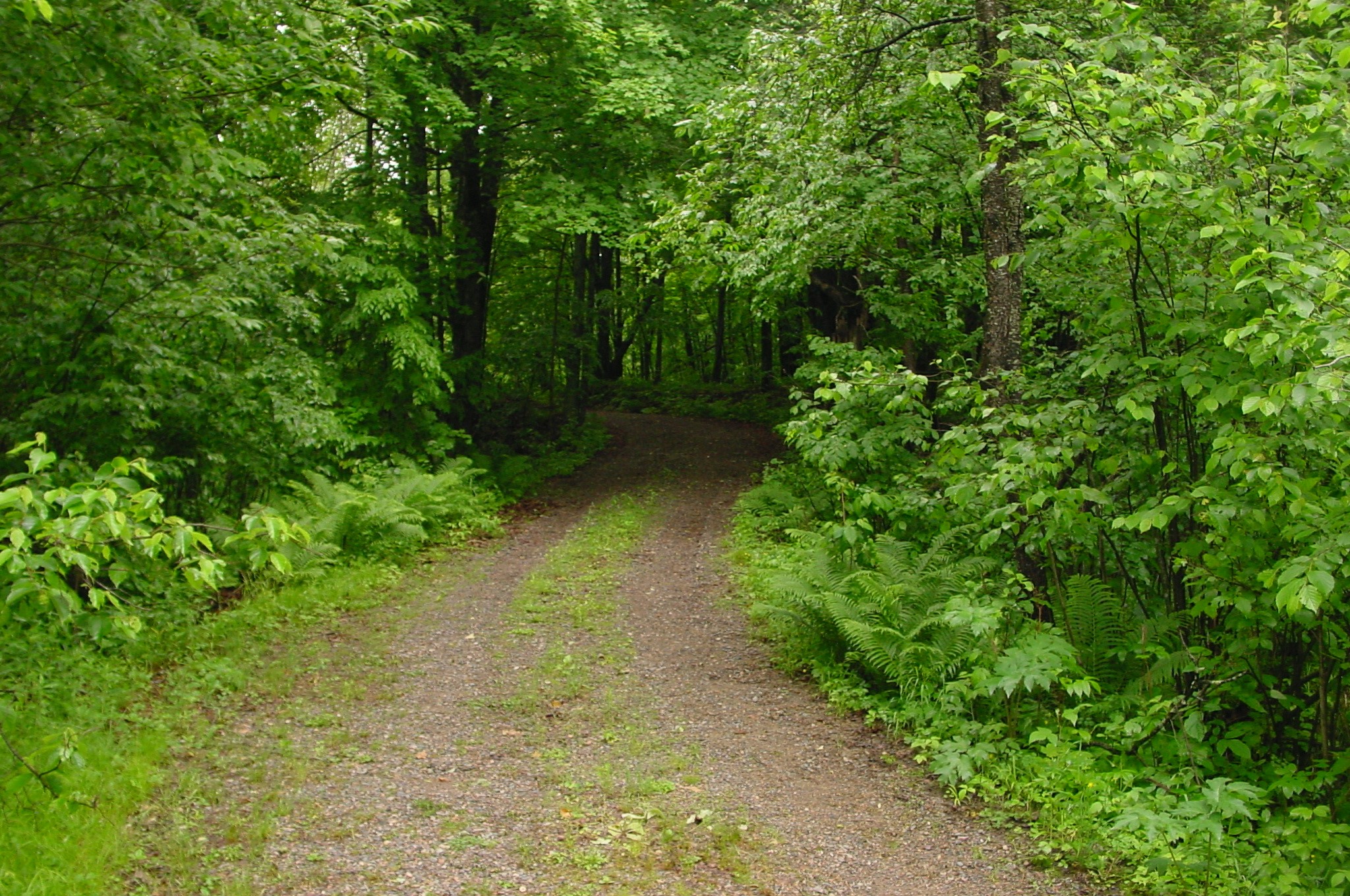 N6659 Kaiser Road Hawkins, WI 54530 - Photo 32 of 39