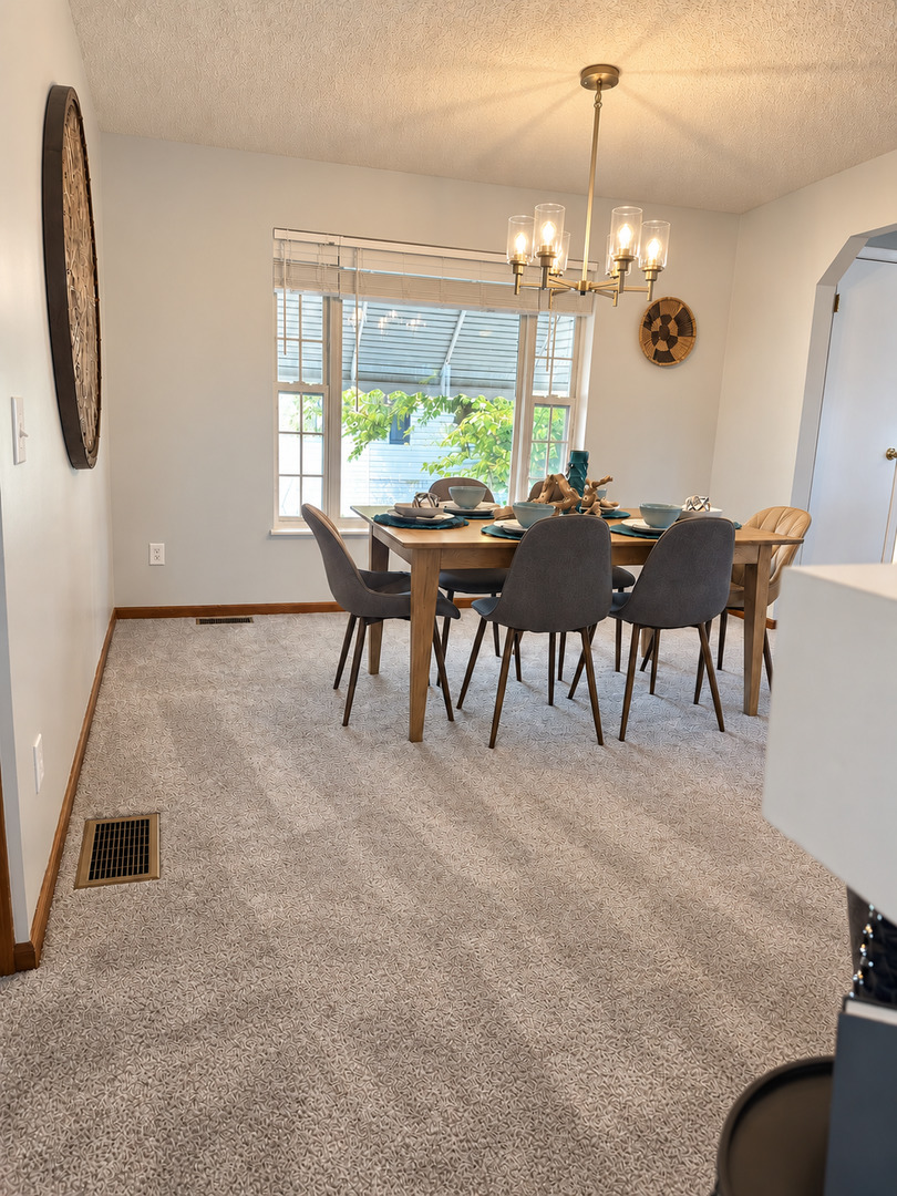 22734 South Ravisloe Lane Frankfort, IL 60423 - Photo 12 of 29 Gallery Image 12