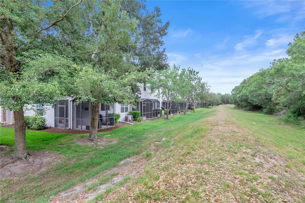 306 Reed Grass Drive Oviedo, FL 32765 - Photo 27 of 33 a view of a yard with a house and a tree