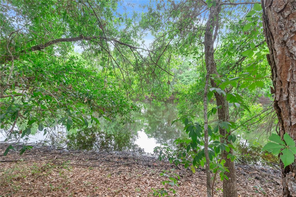 306 Reed Grass Drive Oviedo, FL 32765 - Photo 29 of 33 a backyard of a house with lots of trees