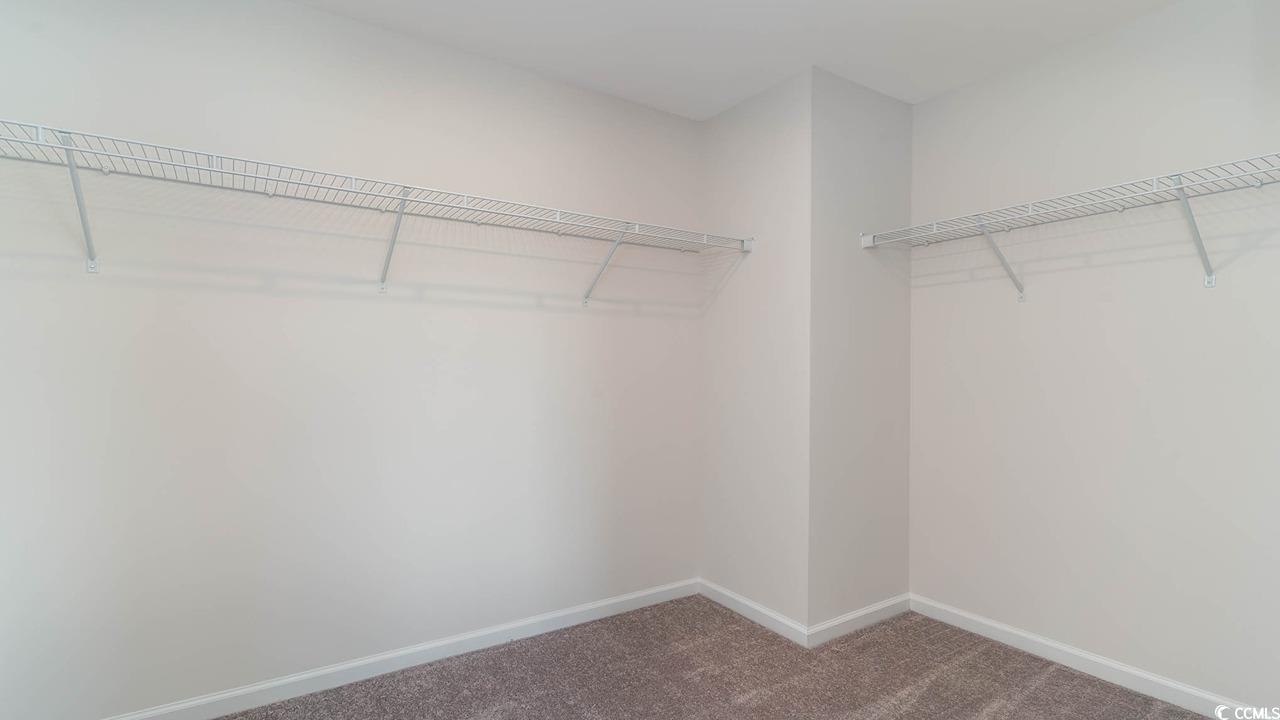 322 Acosta Circle Conway, SC 29527 - Photo 16 of 27 Walk in closet with carpet floors