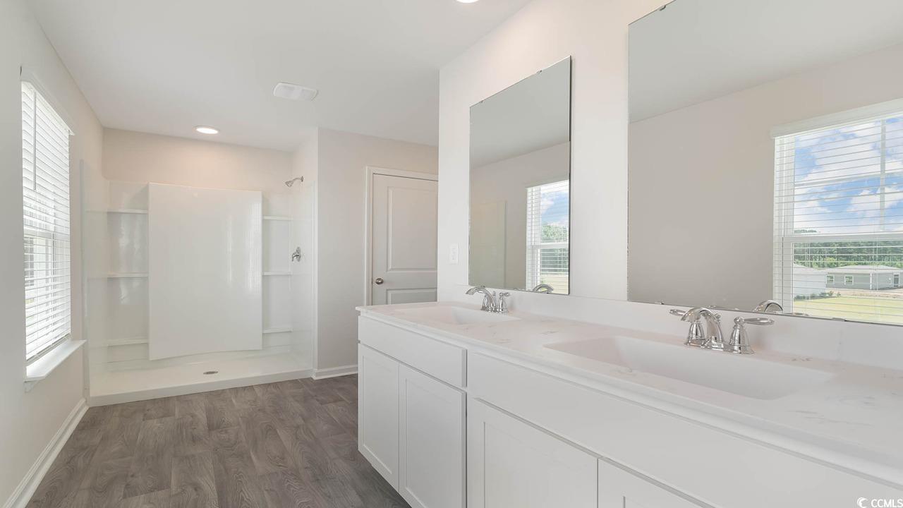 322 Acosta Circle Conway, SC 29527 - Photo 18 of 27 Bathroom with vanity, a shower, and plenty of natu