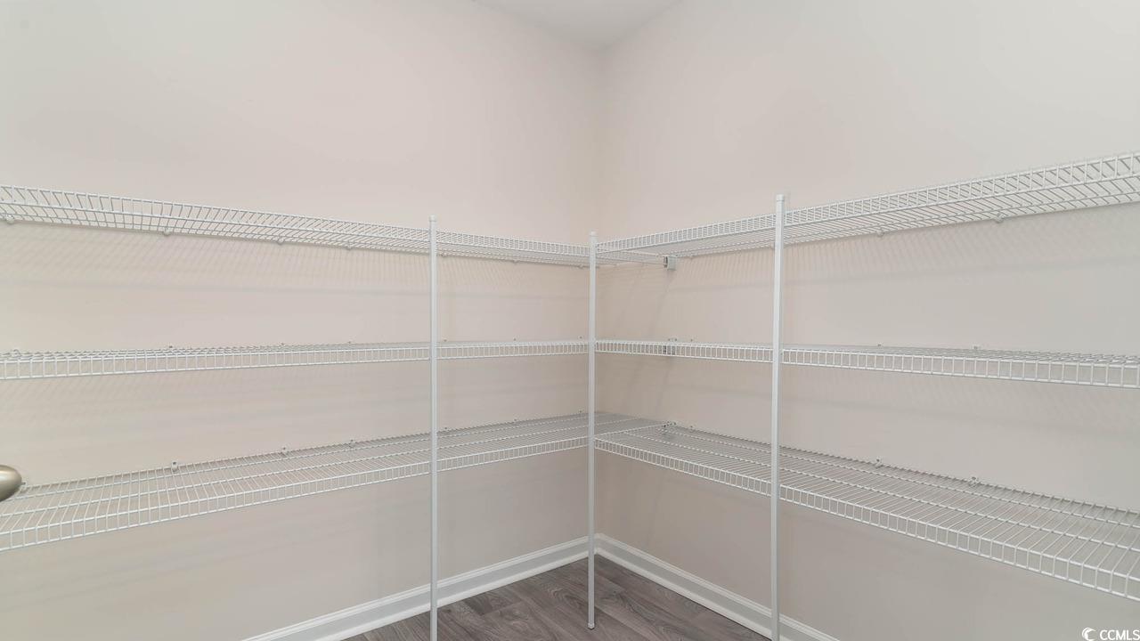 322 Acosta Circle Conway, SC 29527 - Photo 10 of 27 View of pantry