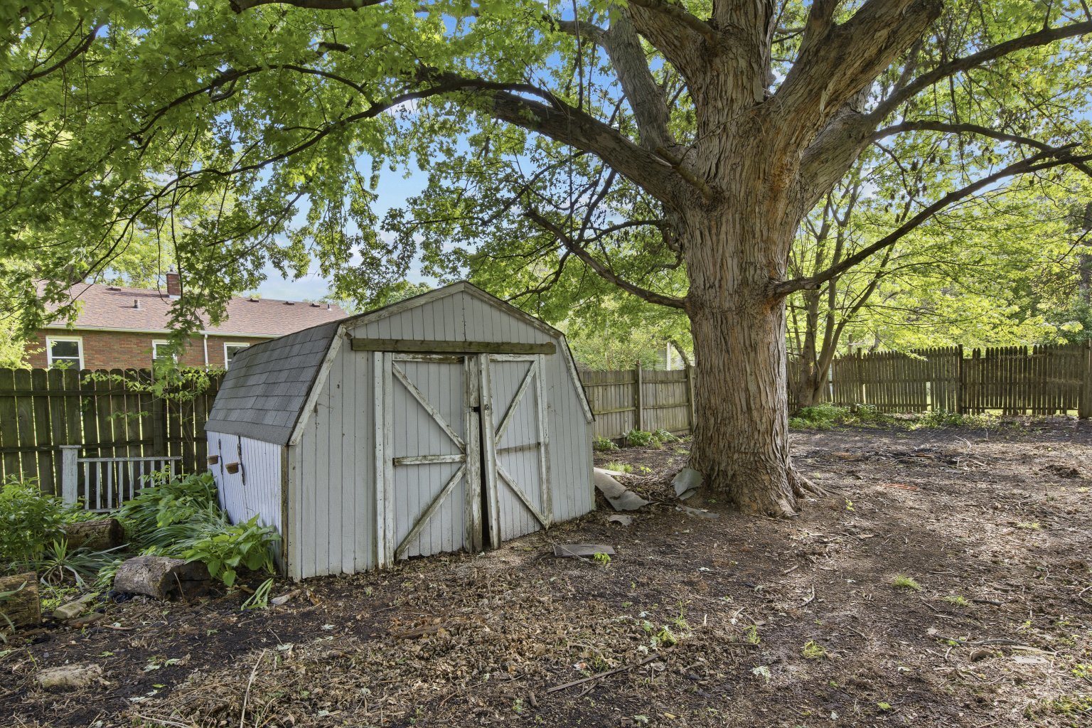 200 West Locust Street Cambridge, IL 61238 - Photo 7 of 32 a view of backyard with a barn and a large tree