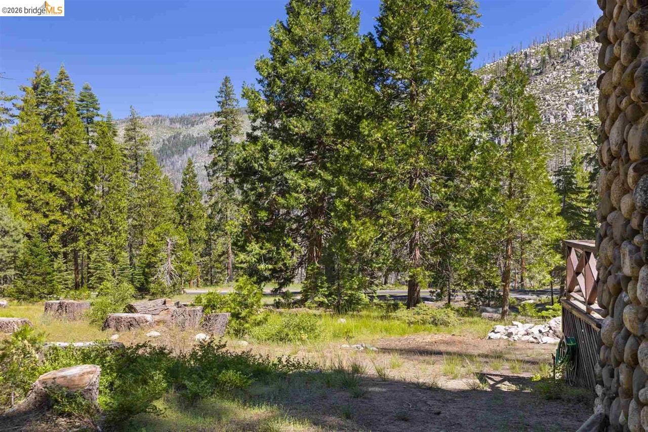 7 Riverside Tract Kyburz, CA 95720 - Photo 25 of 25 a view of yard with green space