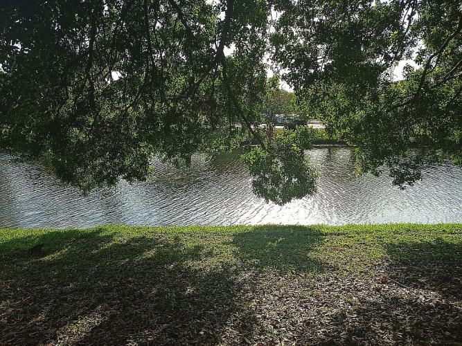 2231 Northwest 34th Terrace Pompano Beach, FL 33066 - Photo 33 of 68