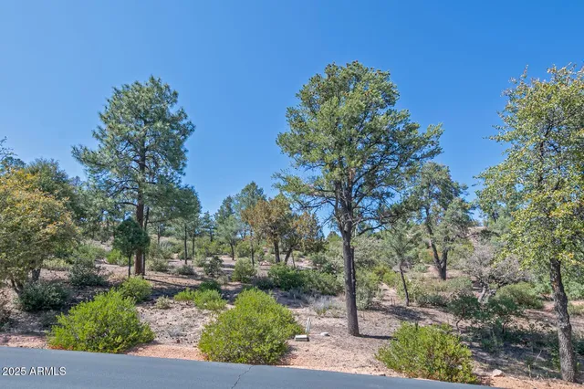 $75,000 | 2500 East Feather Plume Lane, Unit 550, Payson, AZ 85541