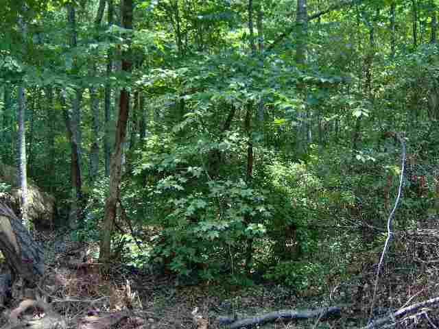 2.34-acres Leopard Road Simpsonville, SC 29681 - Photo 2 of 3