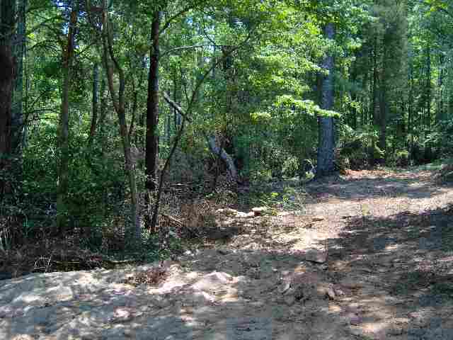 2.34-acres Leopard Road Simpsonville, SC 29681 - Photo 3 of 3