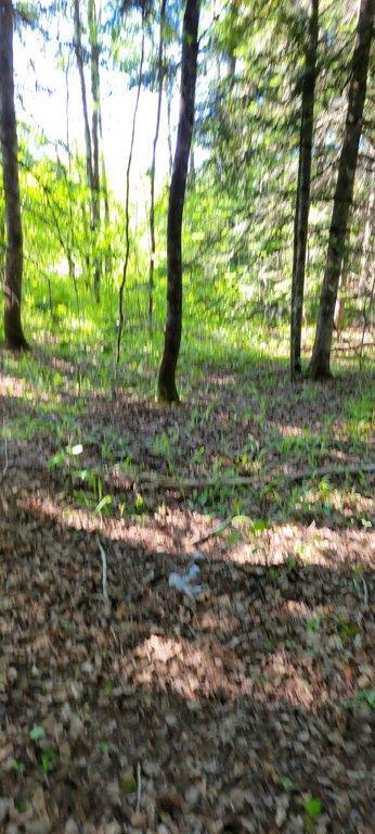 835 Gardner Creek Road Wade, ME 04786 - Photo 2 of 28 835 Gardner Creek Road (1)