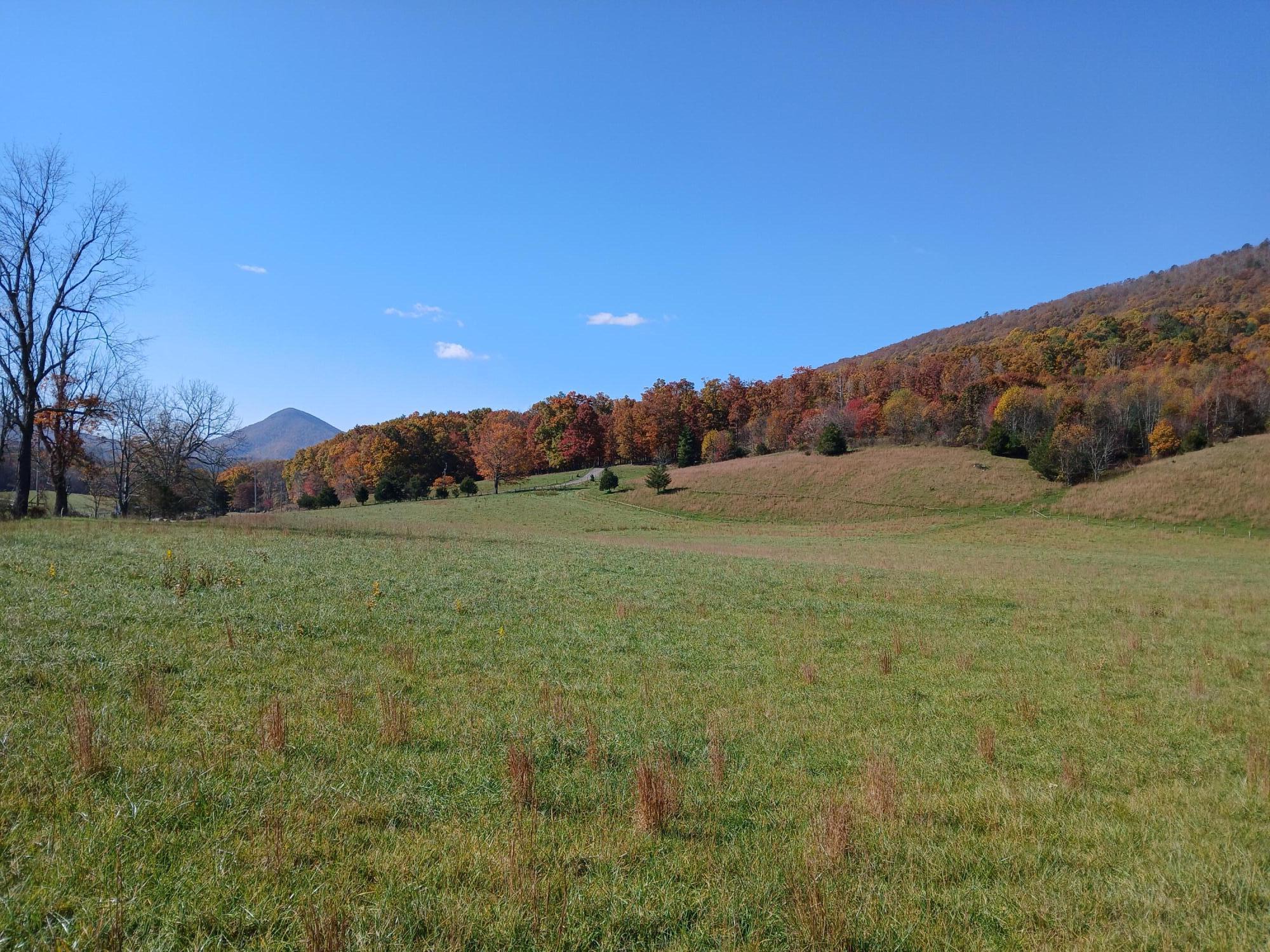 5110 Rich Patch Road Covington, VA 24426 - Photo 24 of 25 a view of a field with an ocean