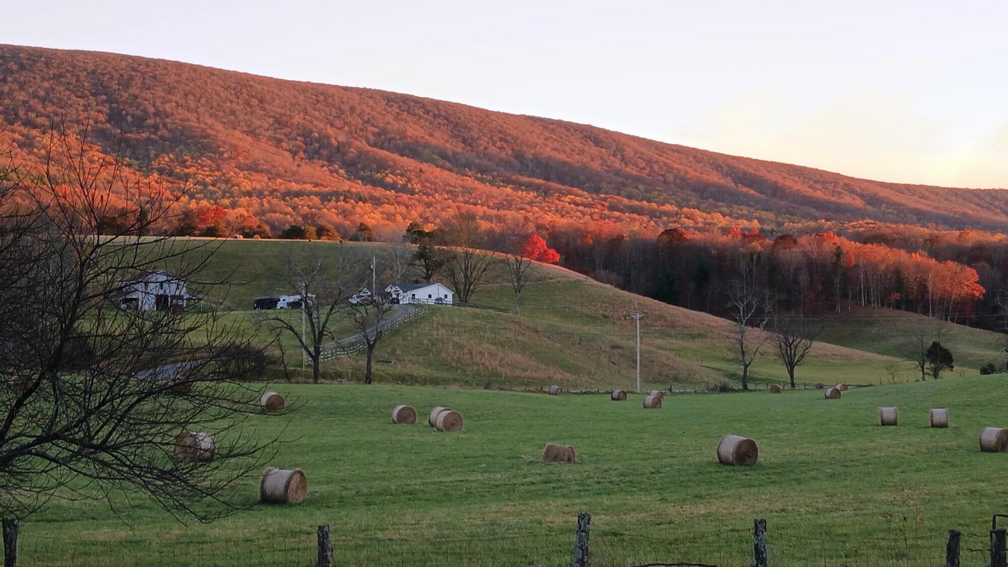 5110 Rich Patch Road Covington, VA 24426 - Photo 3 of 25 a view of a grassy area with mountains and a mountain view