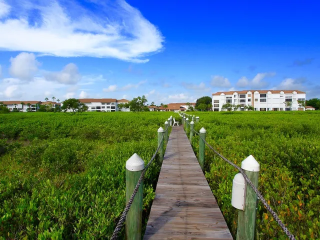 a view of a swimming pool with a yard