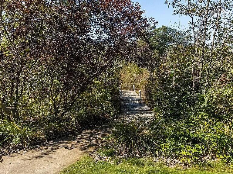 3518 East Long Lake Road Harrison, MI 48625 - Photo 63 of 97 Backyard Board Walk