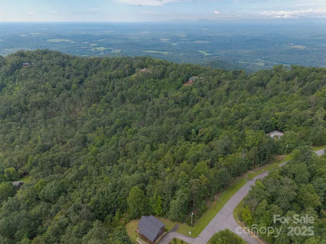 a view of a city with lush green forest