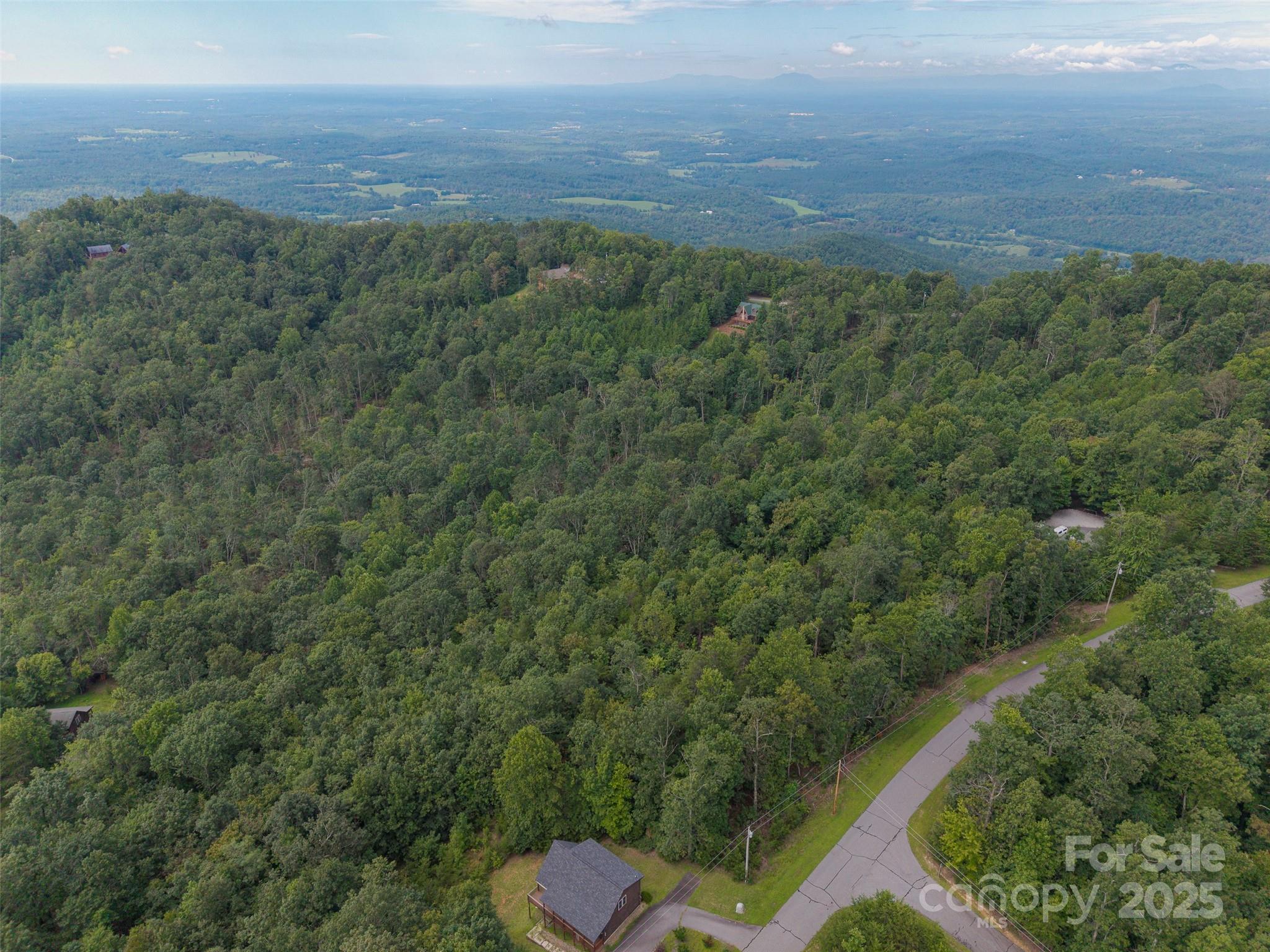 0 Arbra Mountain Road, Unit 50 Bostic, NC 28018 - Photo 3 of 7 a view of a city with lush green forest