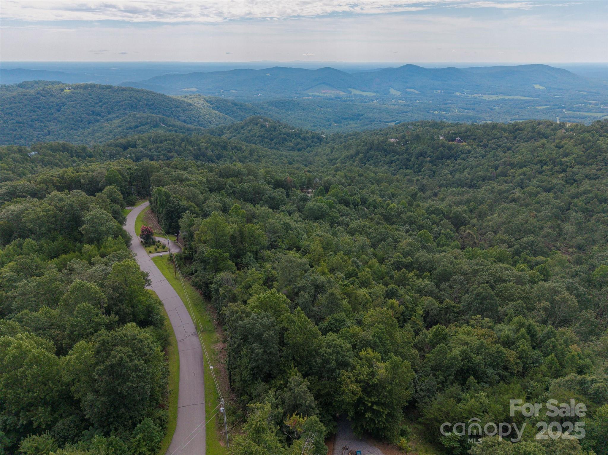 0 Arbra Mountain Road, Unit 50 Bostic, NC 28018 - Photo 4 of 7 a view of a forest with a street