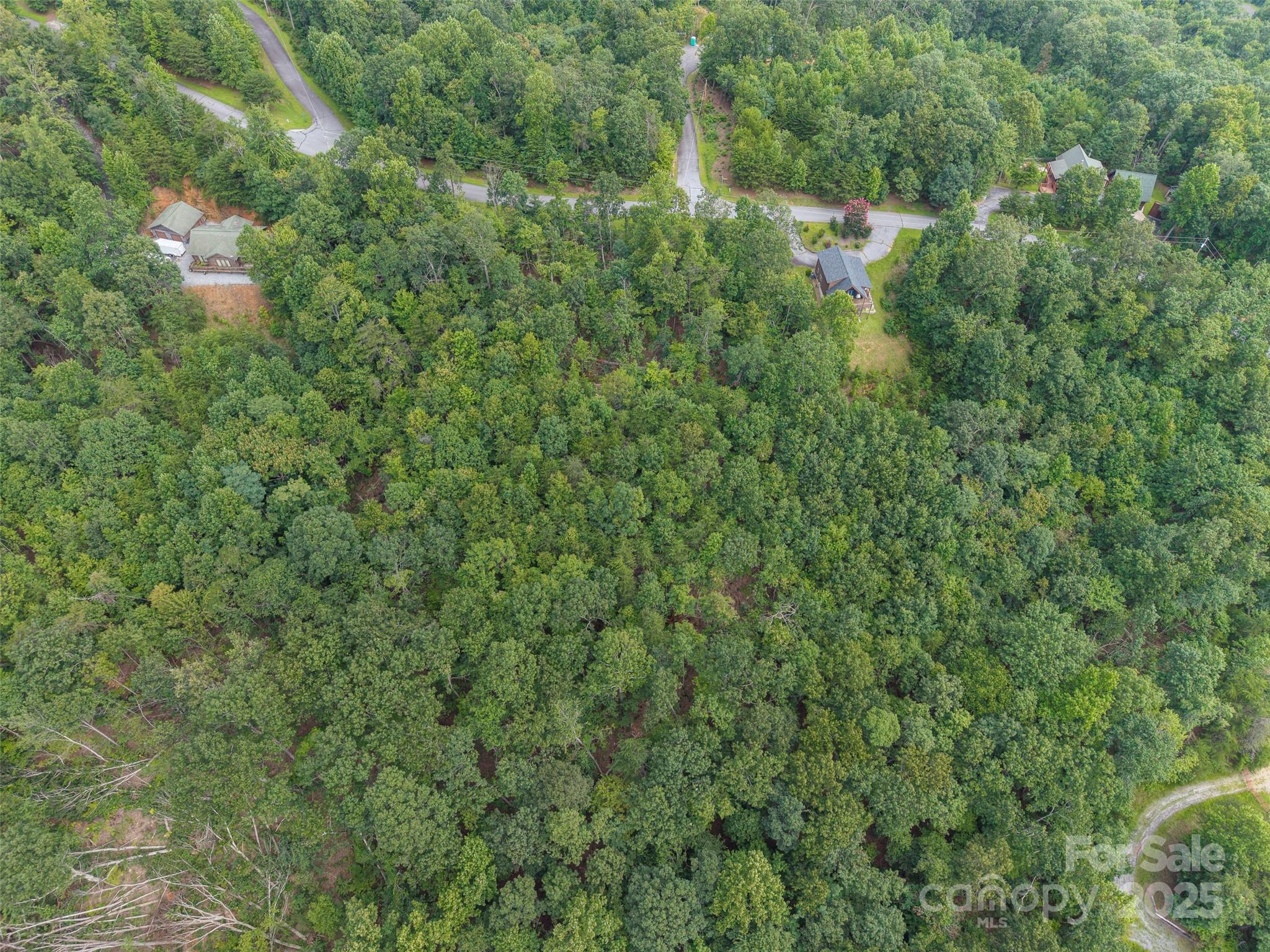 0 Arbra Mountain Road, Unit 50 Bostic, NC 28018 - Photo 5 of 7 a view of a lush green forest