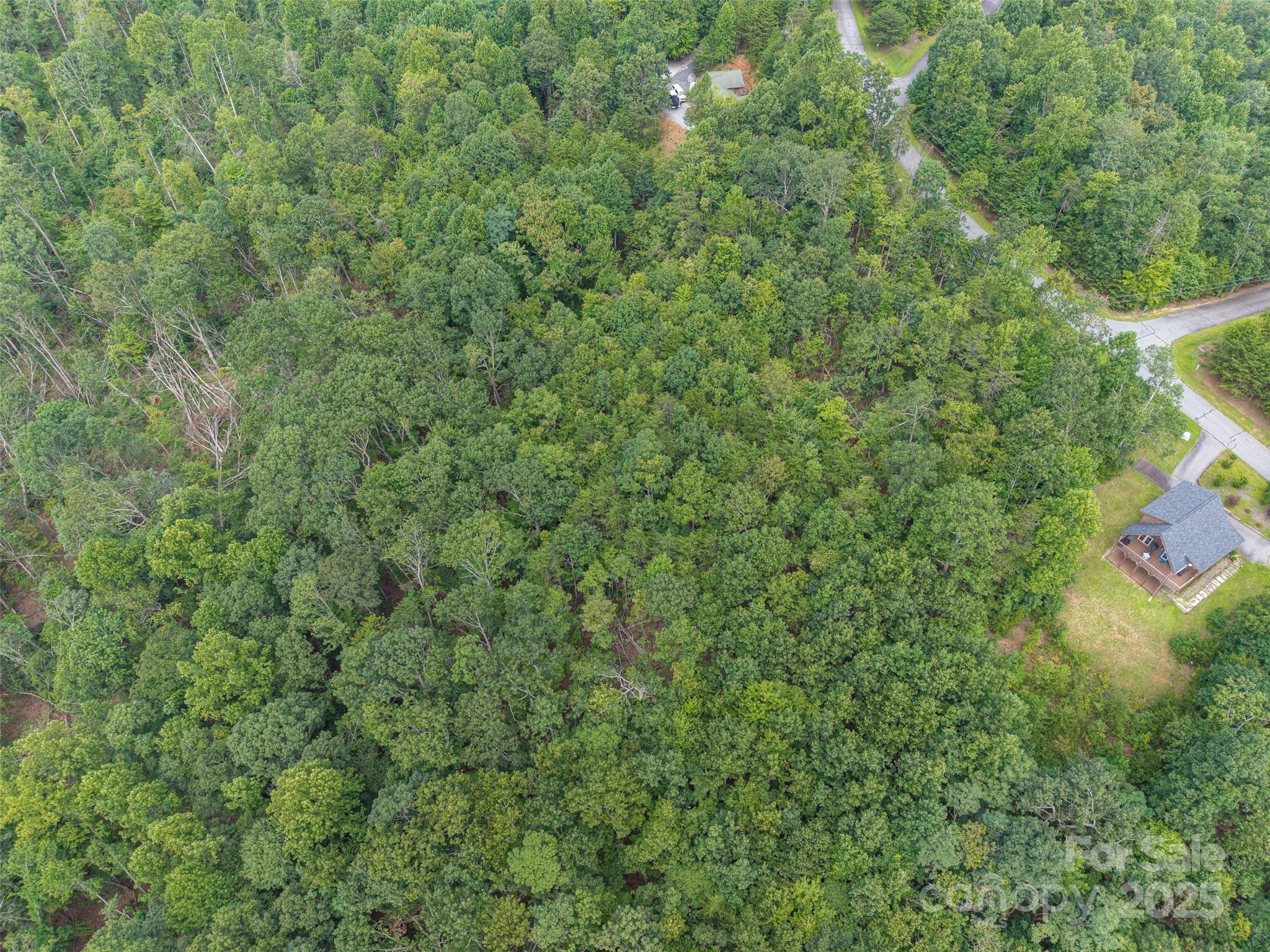 0 Arbra Mountain Road, Unit 50 Bostic, NC 28018 - Photo 6 of 7 a view of a lush green forest