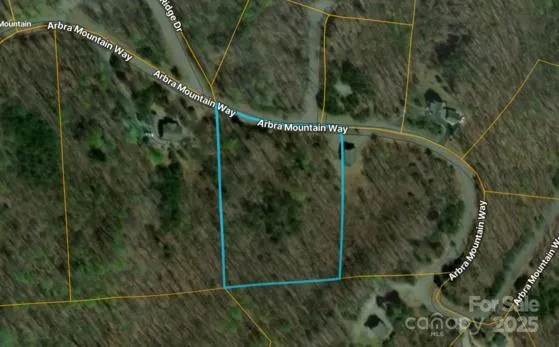 $24,900 | 0 Arbra Mountain Road, Unit 50, Bostic, NC 28018