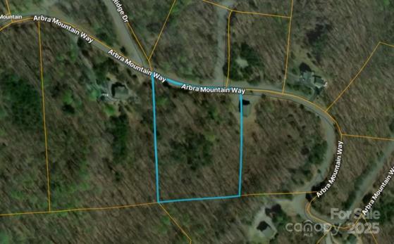 0 Arbra Mountain Road, Unit 50 Bostic, NC 28018 - Photo 7 of 7