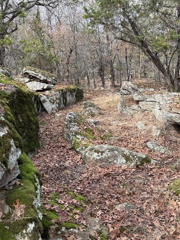 1079 Union Hill Road Mineral Wells, TX 76067 - Photo 21 of 40 a view of a yard with trees