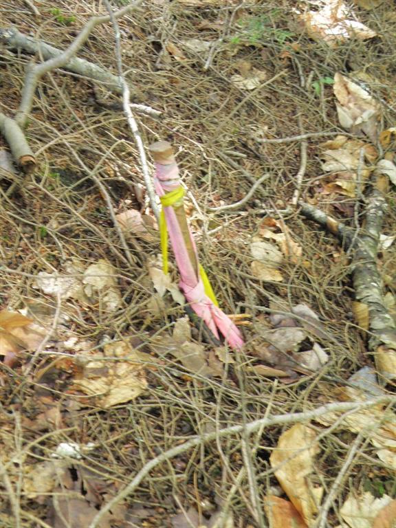 72 West Old Main Road Burlington, ME 04417 - Photo 2 of 17 Photo