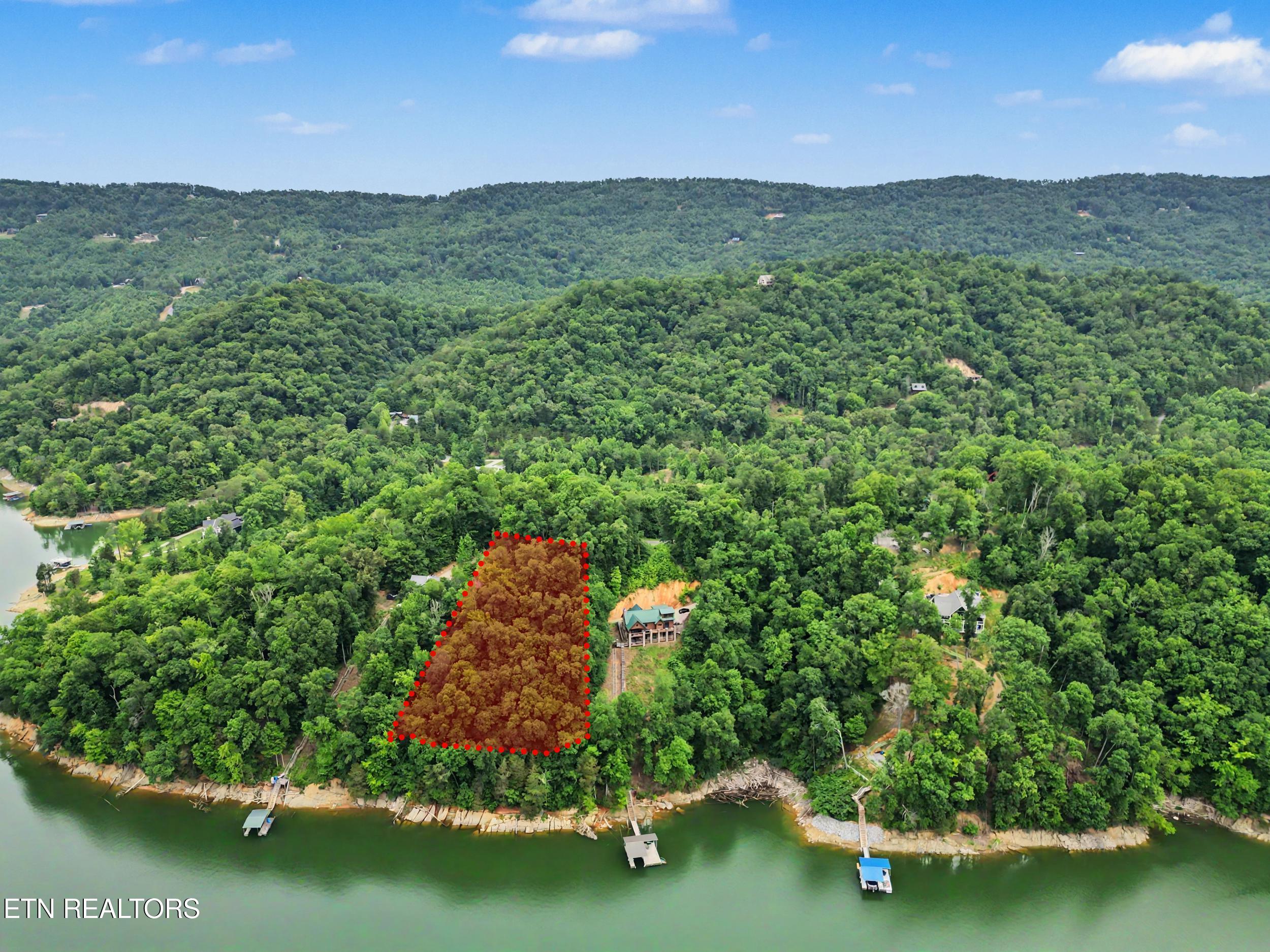836-835 Jacks Bluff Road New Tazewell, TN 37825 - Photo 52 of 53 55_property line 1.png