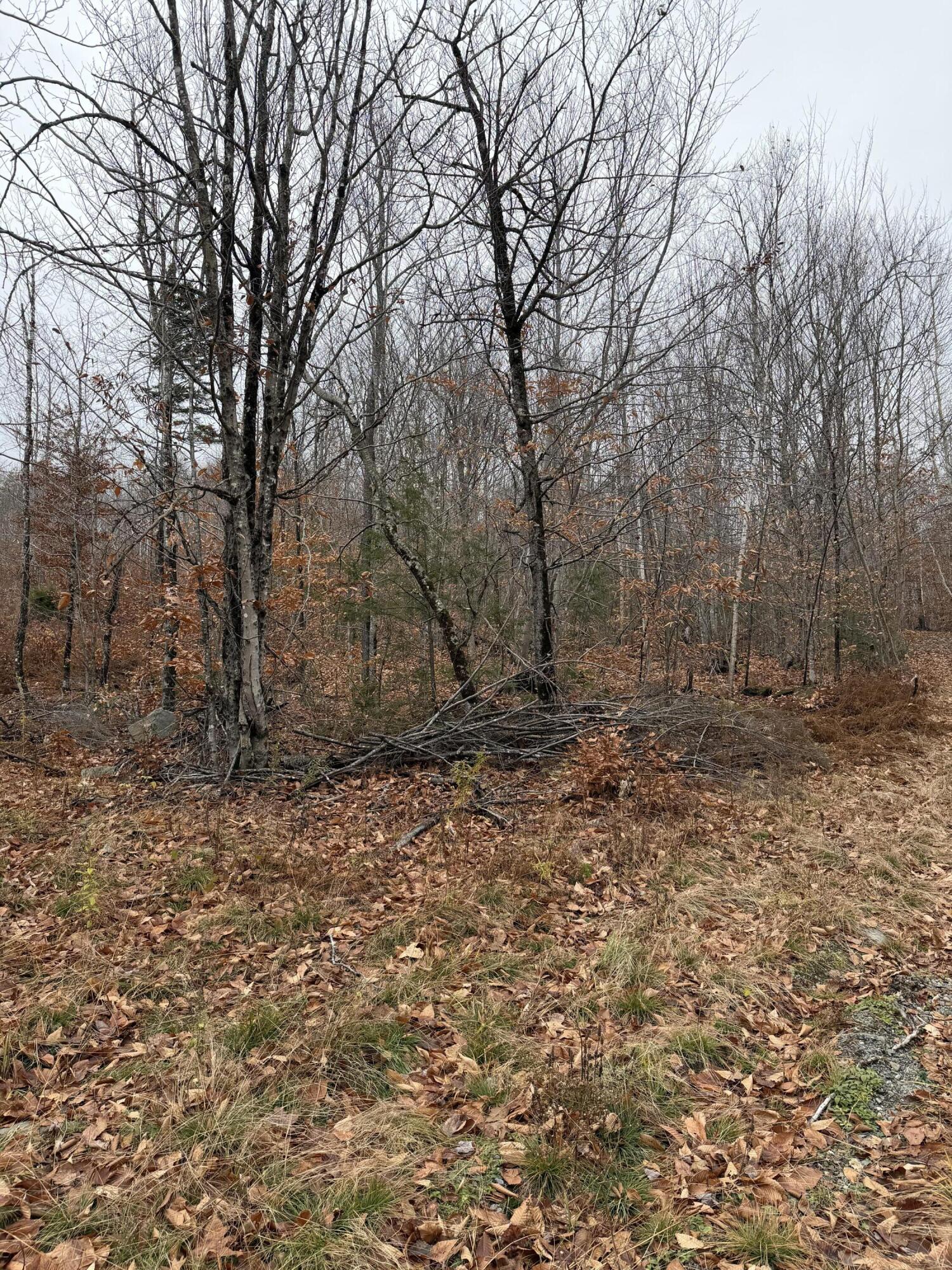 M5-l27 Pond Road Abbot, ME 04406 - Photo 12 of 15
