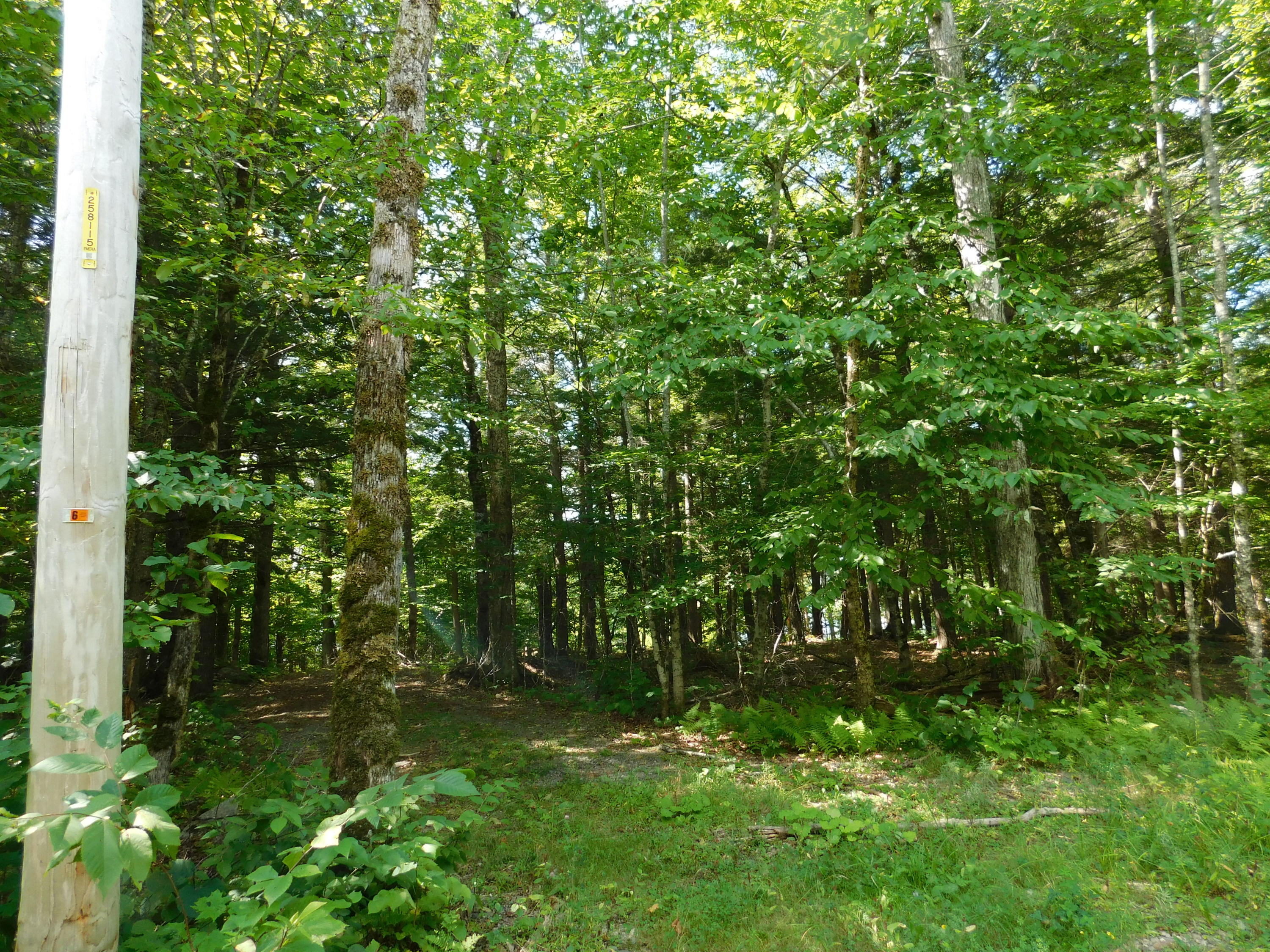 Lot 4 Flag Cove Road Dover-Foxcroft, ME 04426 - Photo 2 of 41 DSCN2202