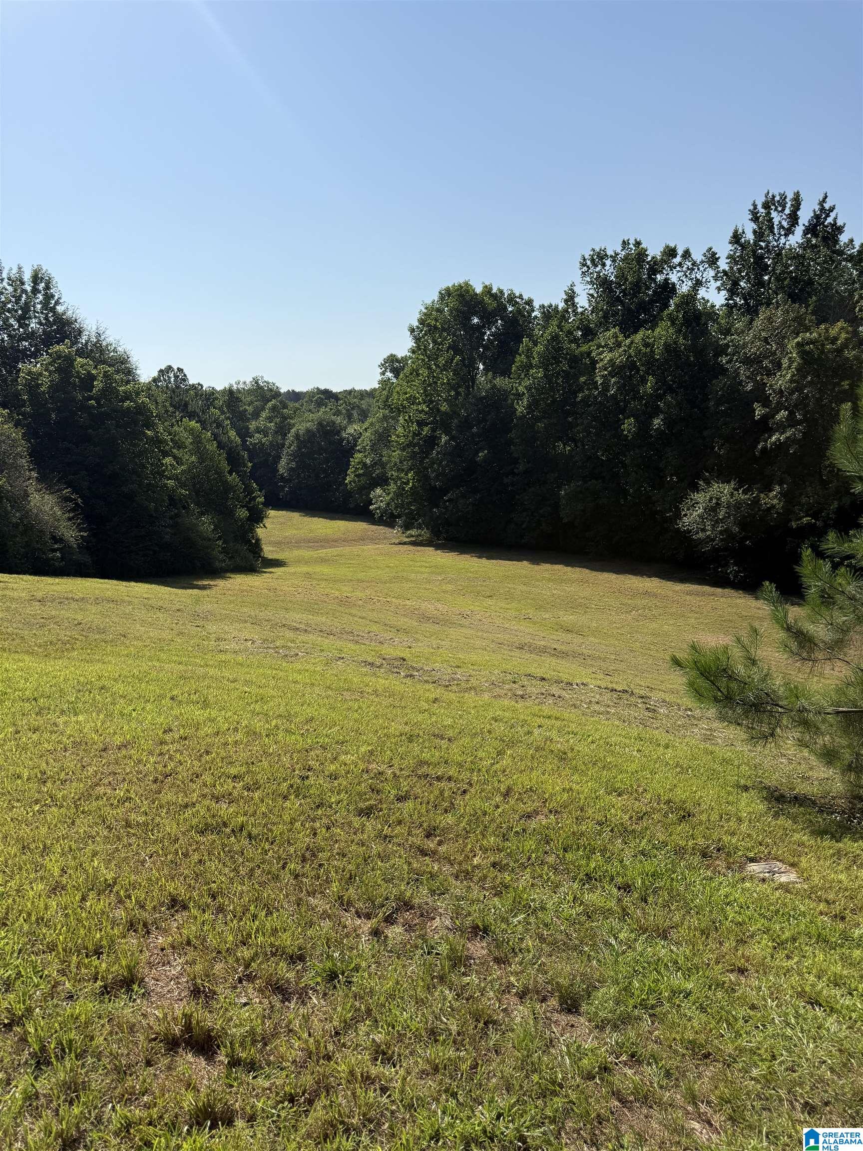 0 County Road 450 Fruithurst, AL 36262 - Photo 9 of 13