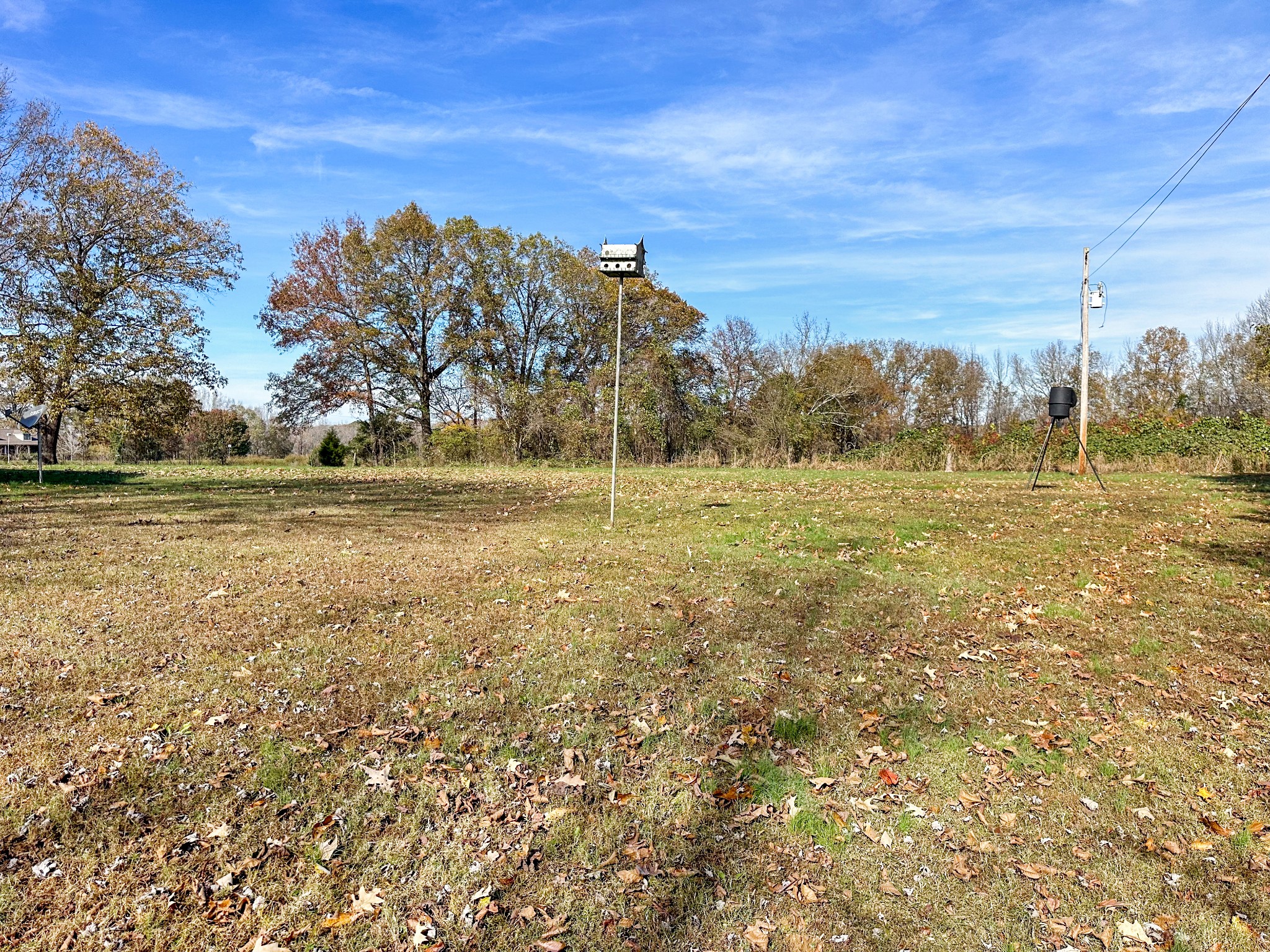 1900 Guthrie Road Paris, TN 38242 - Photo 33 of 36 a view of a yard with an ocean