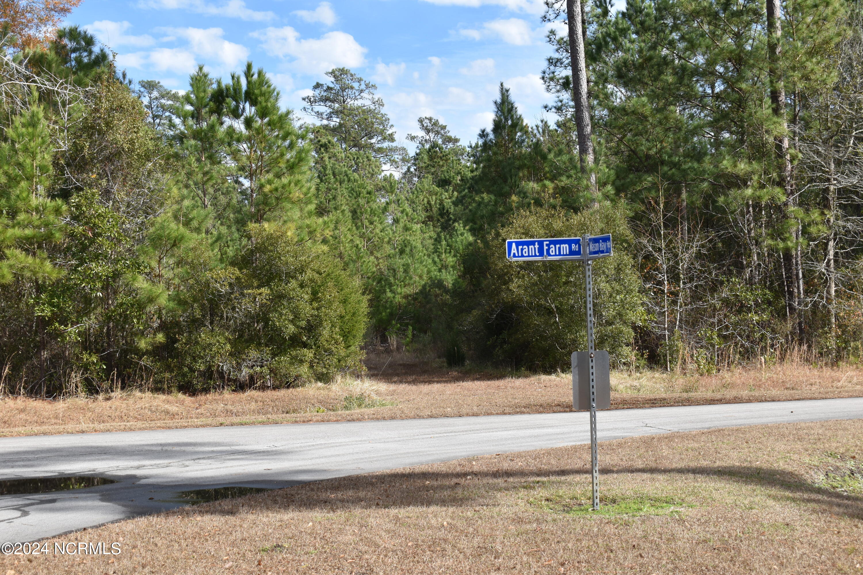 695 Arant Farm Road Merritt, NC 28556 - Photo 12 of 16 Arant Farm Rd sign