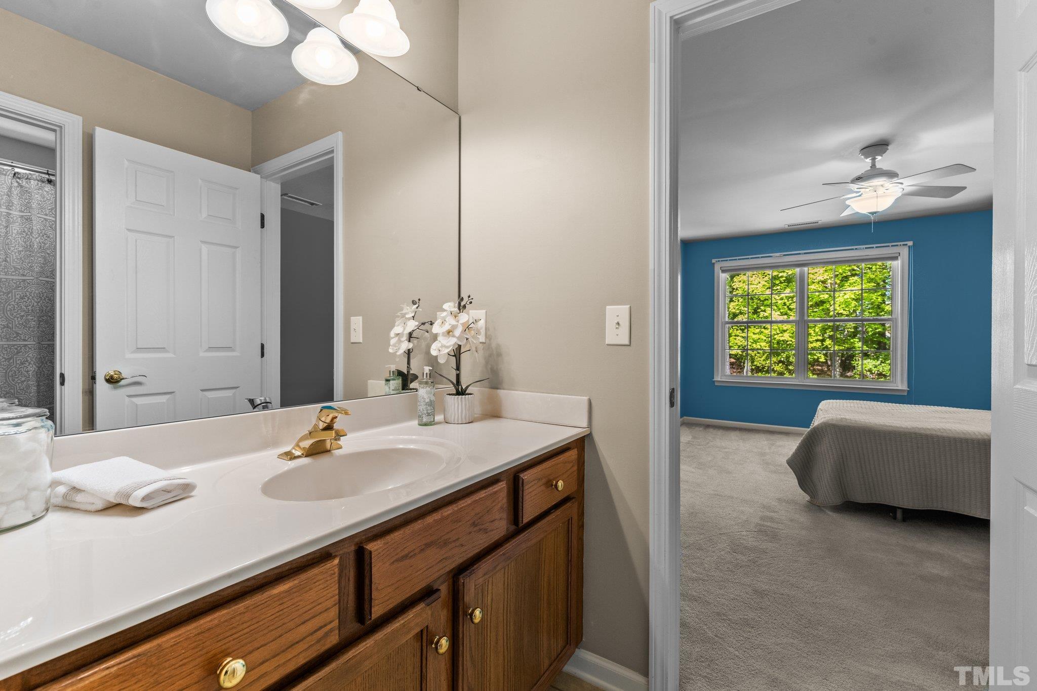 10507 Dapping Drive Raleigh, NC 27614 - Photo 28 of 38 a bathroom with a sink and a mirror