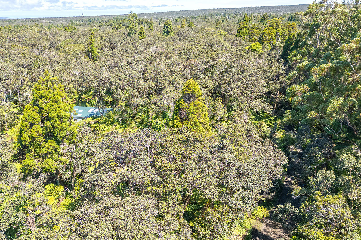 150 Lot Volcano, HI 96785 - Photo 12 of 12 Gallery Image 12