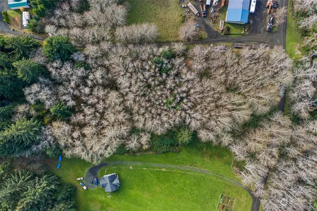 $90,000 | 0 Wilson Lane, South Bend, WA 98586