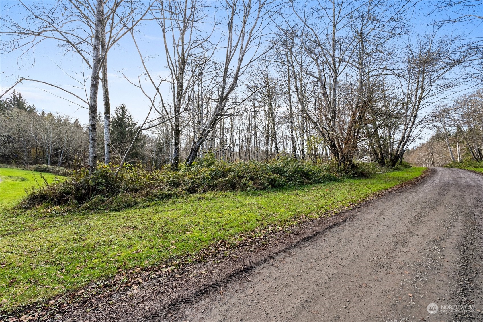 0 Wilson Lane South Bend, WA 98586 - Photo 19 of 24