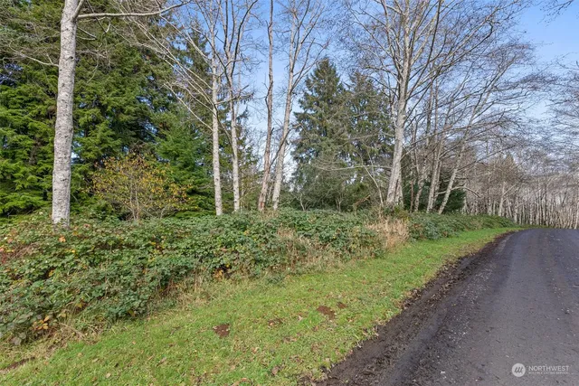 $90,000 | 0 Wilson Lane, South Bend, WA 98586