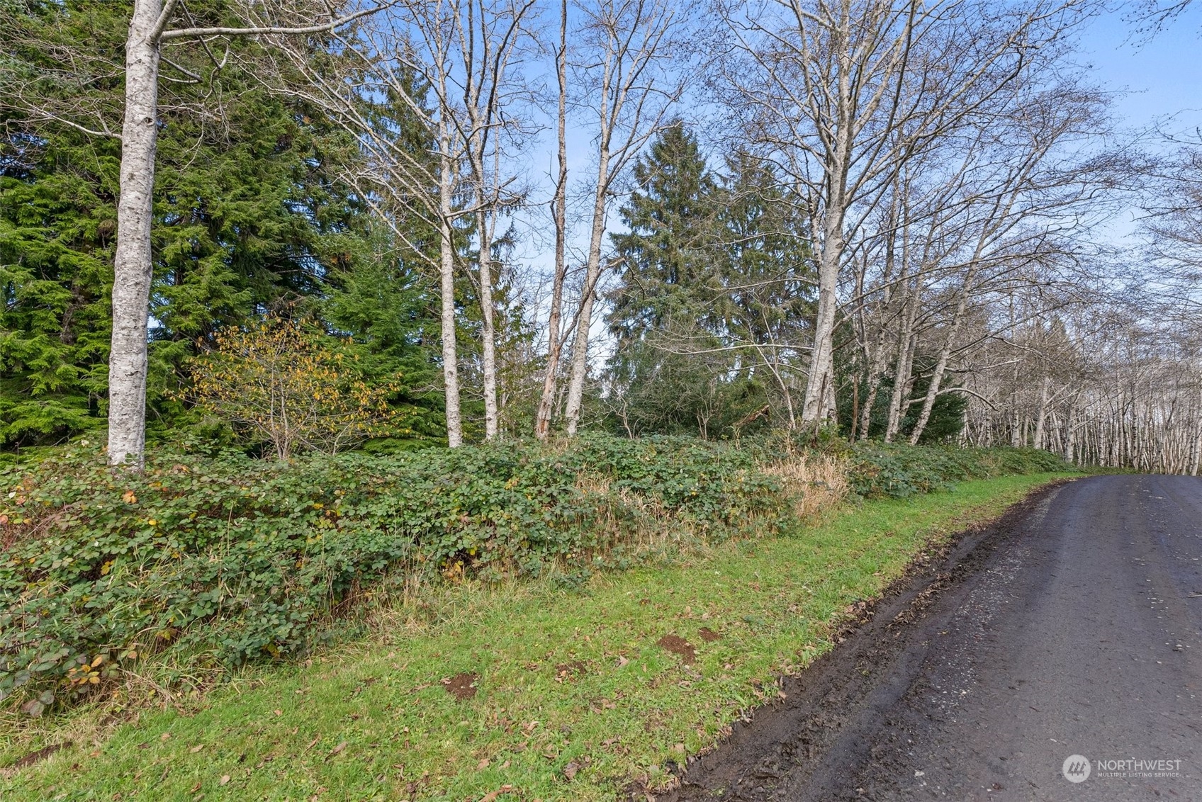 0 Wilson Lane South Bend, WA 98586 - Photo 20 of 24