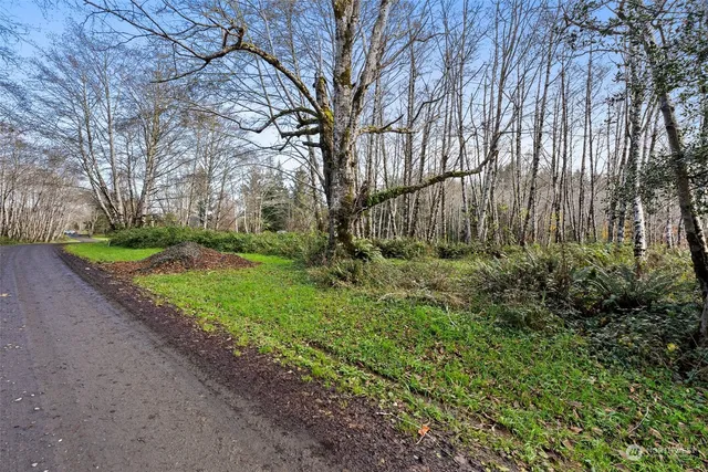 $90,000 | 0 Wilson Lane, South Bend, WA 98586