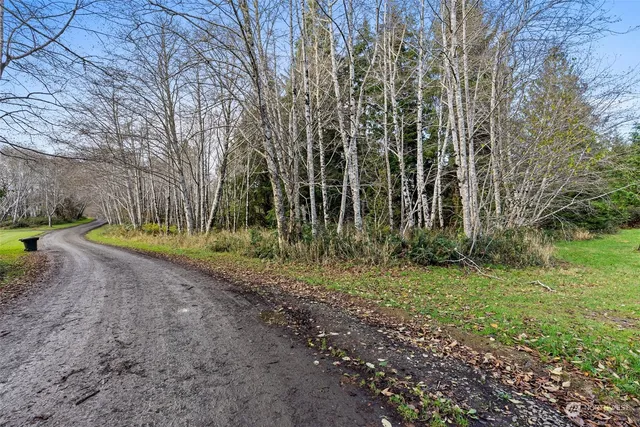 $90,000 | 0 Wilson Lane, South Bend, WA 98586