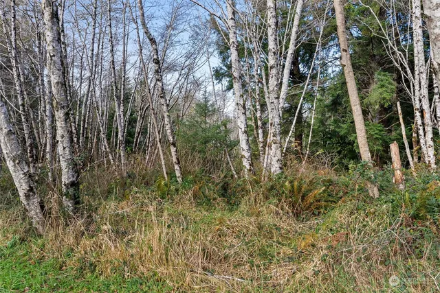 $90,000 | 0 Wilson Lane, South Bend, WA 98586