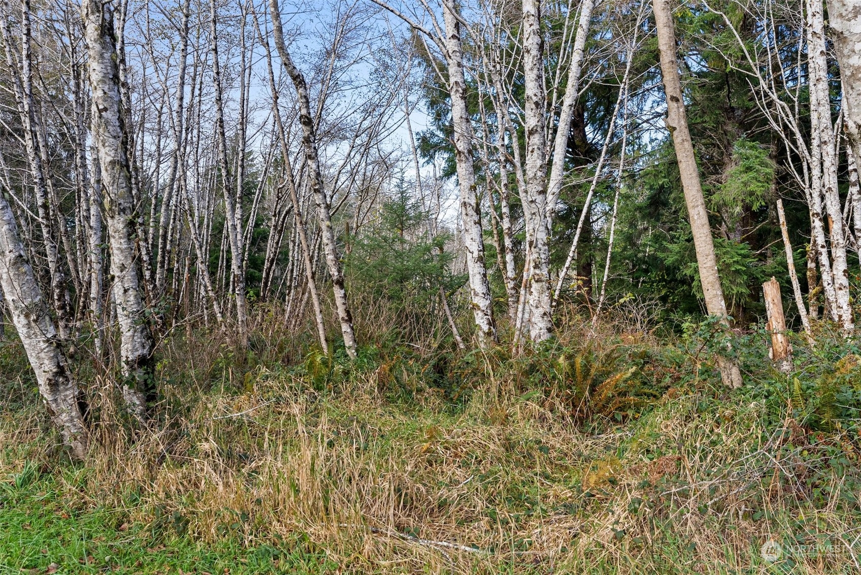 0 Wilson Lane South Bend, WA 98586 - Photo 23 of 24