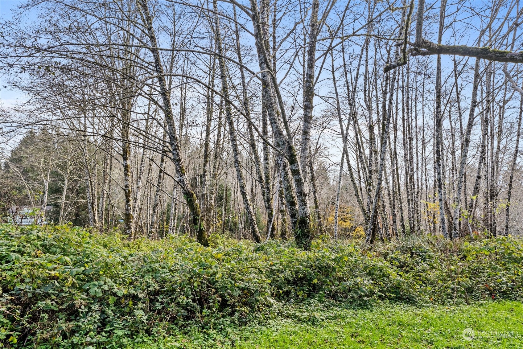 0 Wilson Lane South Bend, WA 98586 - Photo 24 of 24