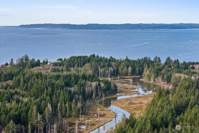 $90,000 | 0 Wilson Lane, South Bend, WA 98586