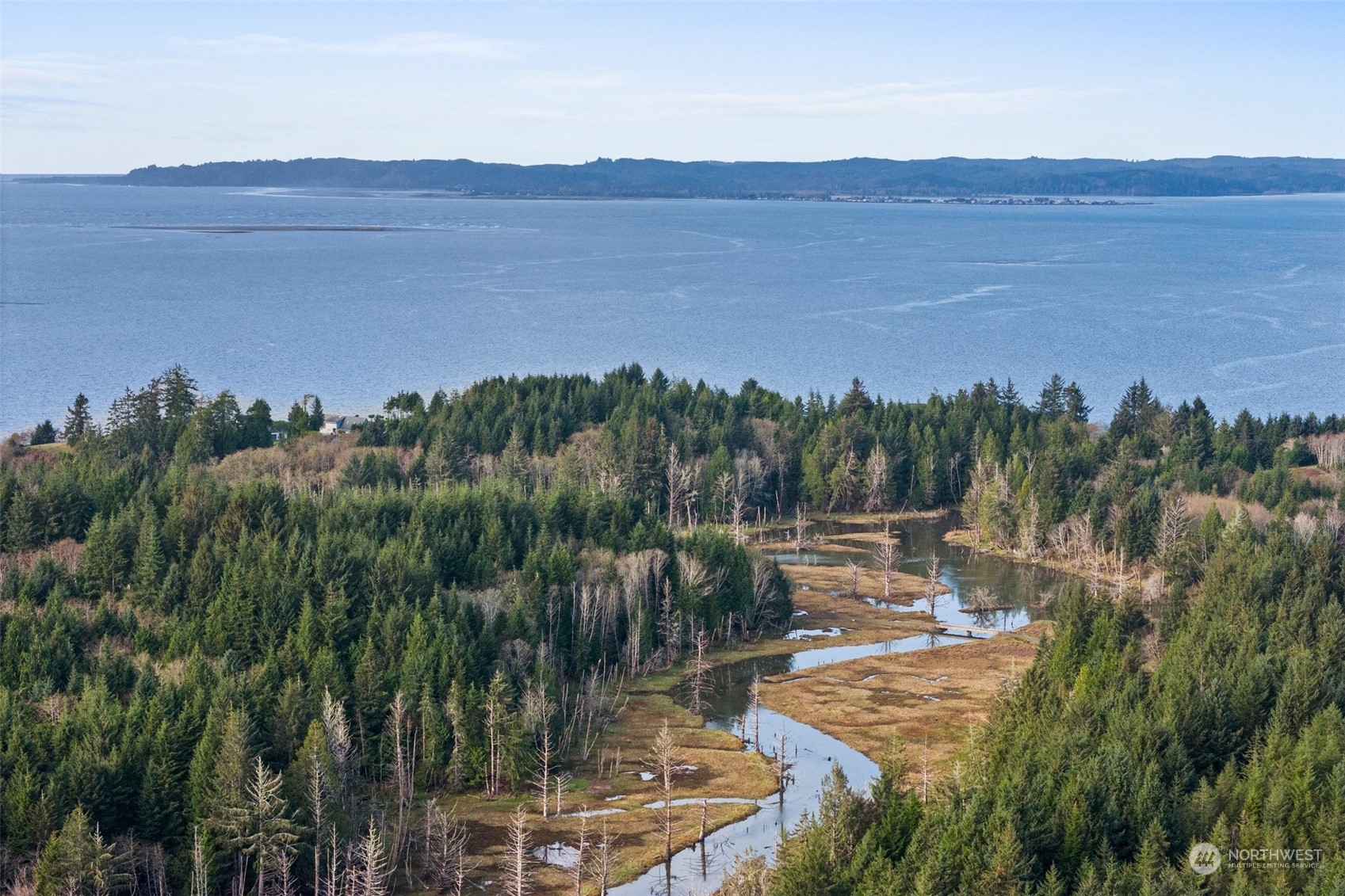 0 Wilson Lane South Bend, WA 98586 - Photo 4 of 24