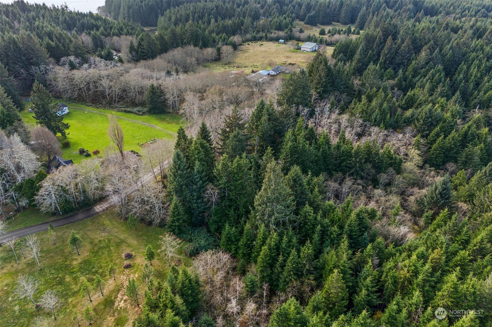 0 Wilson Lane South Bend, WA 98586 - Photo 9 of 24