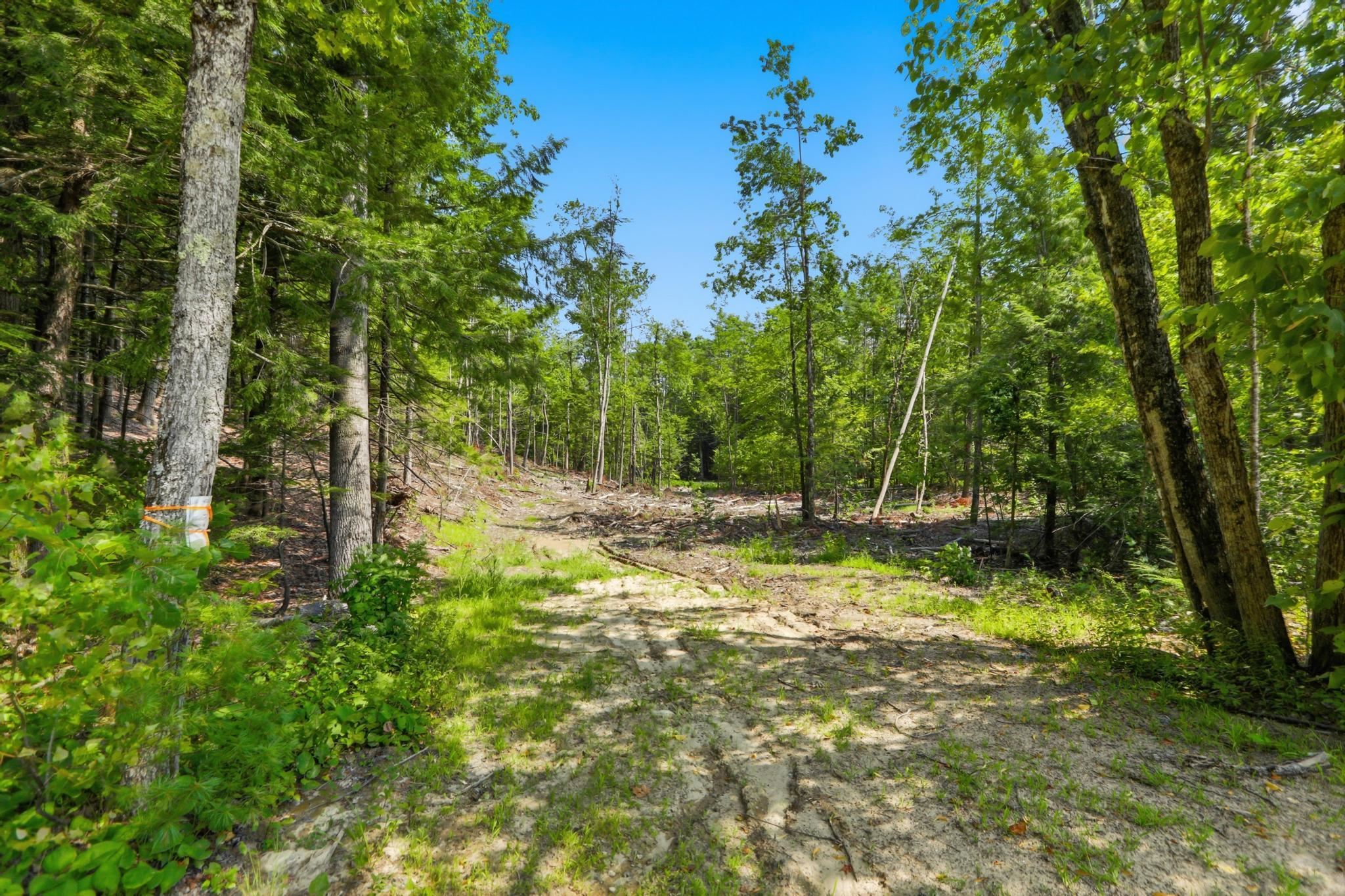 0 Drake Road Sanbornton, NH 03269 - Photo 24 of 43 Gallery Image 24