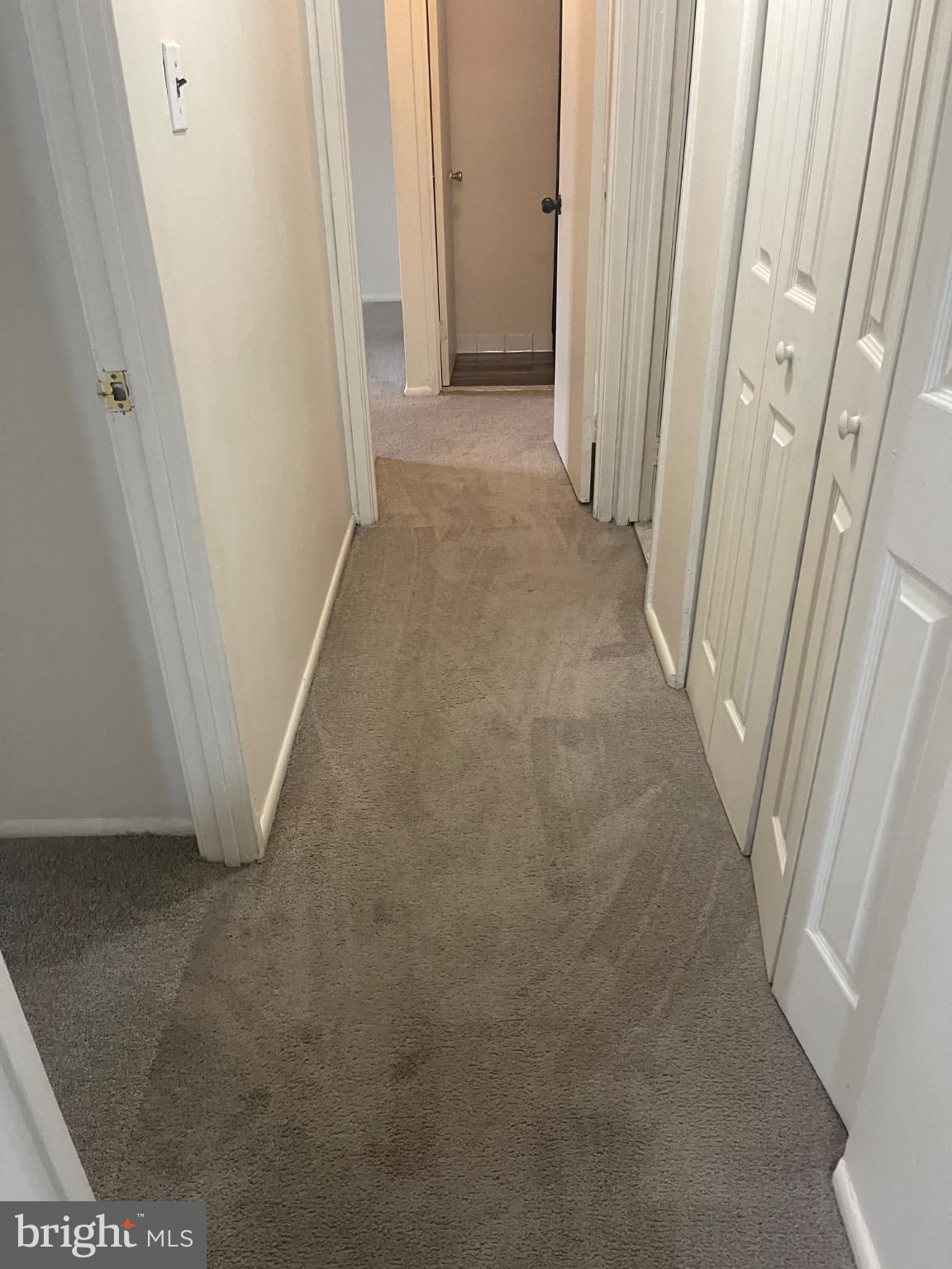 2360 Sun Valley Circle, Unit 2GH Silver Spring, MD 20906 - Photo 12 of 28 Inviting hallway with soft, neutral tones.