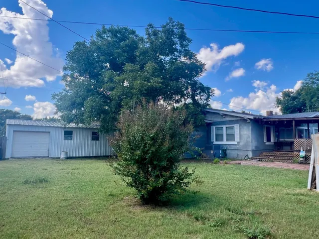 a view of a backyard with large trees and a large tree